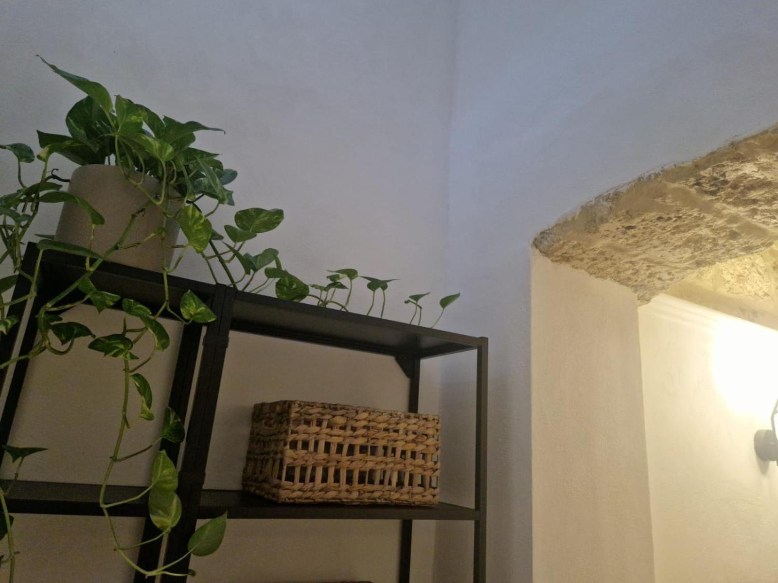 Murat48 Bari Extérieur photo